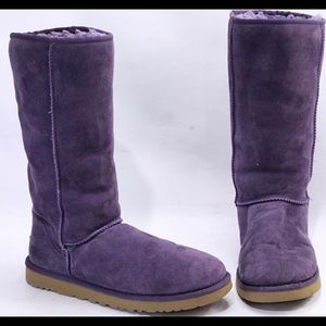 Tall Purple Uggs Size 7